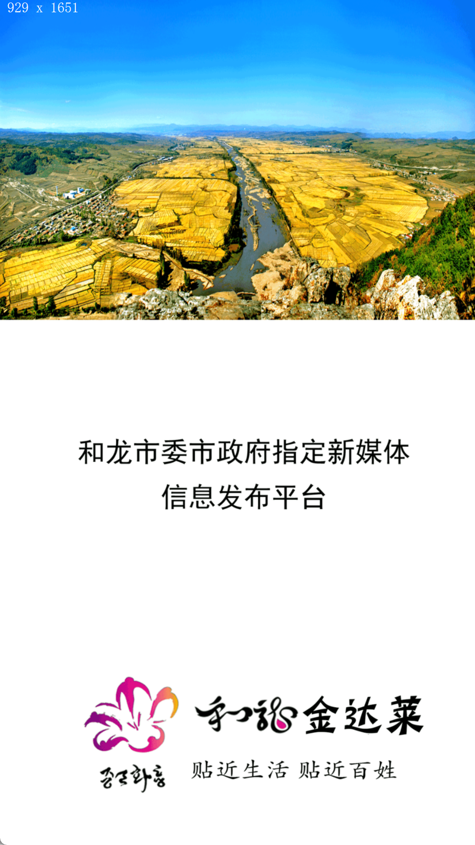 和龙金达莱截图(4)