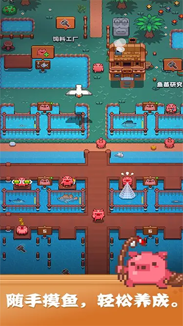 开拓猪之岛截图(1)