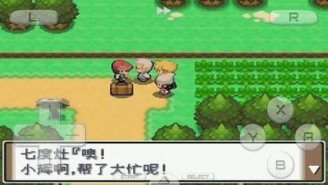 口袋妖怪白金493汉化版截图(1)