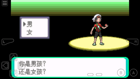 口袋妖怪日月宝石截图(2)