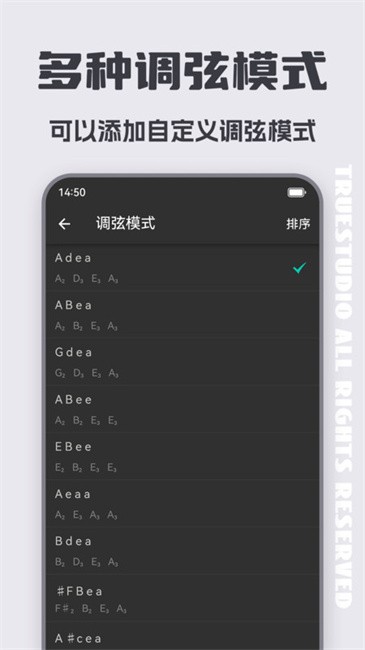琵琶调音大师截图(2)