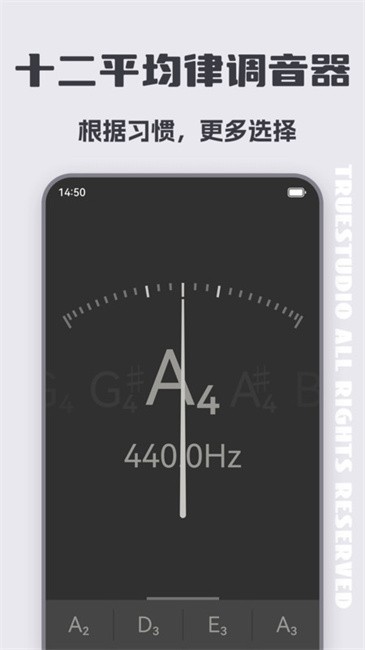 琵琶调音大师截图(3)