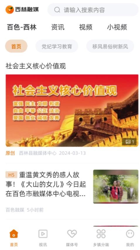 西林融媒截图(4)