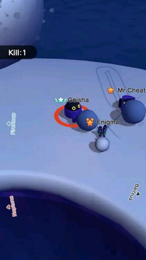 极地雪球精英截图(1)