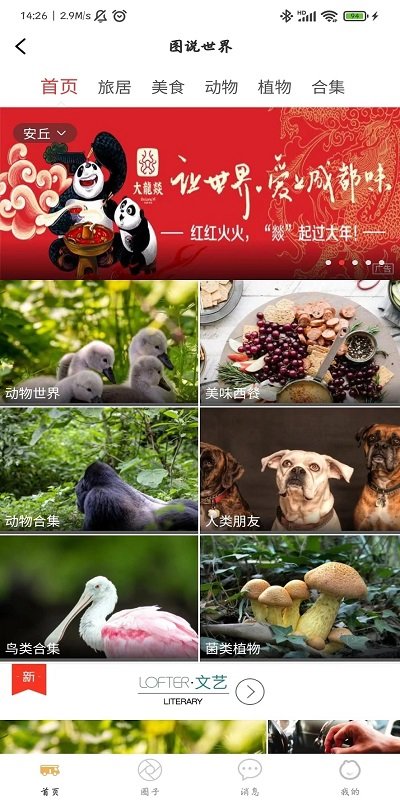 赶点旅居截图(2)