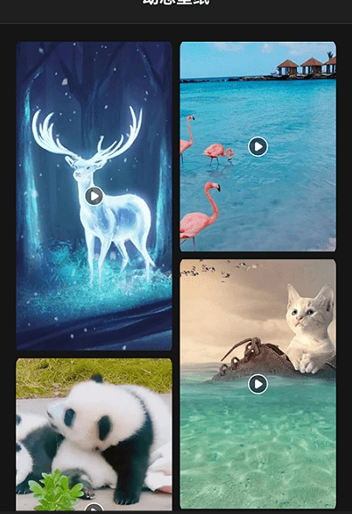 喵喵之家截图(2)