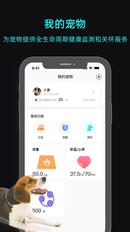 一聪小白截图(3)