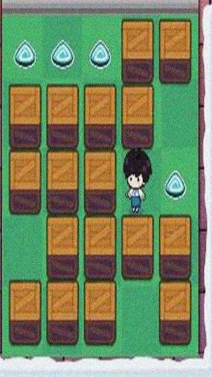 推箱子大师a截图(2)