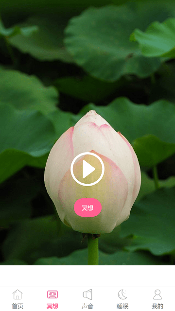 心兔音客截图(4)