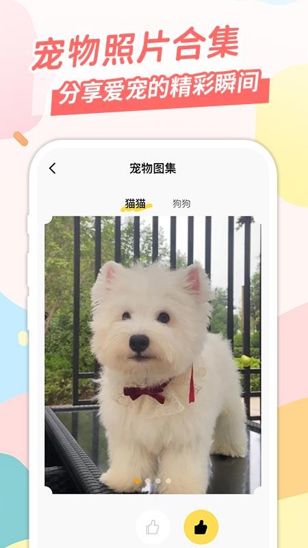 桌面宠截图(3)