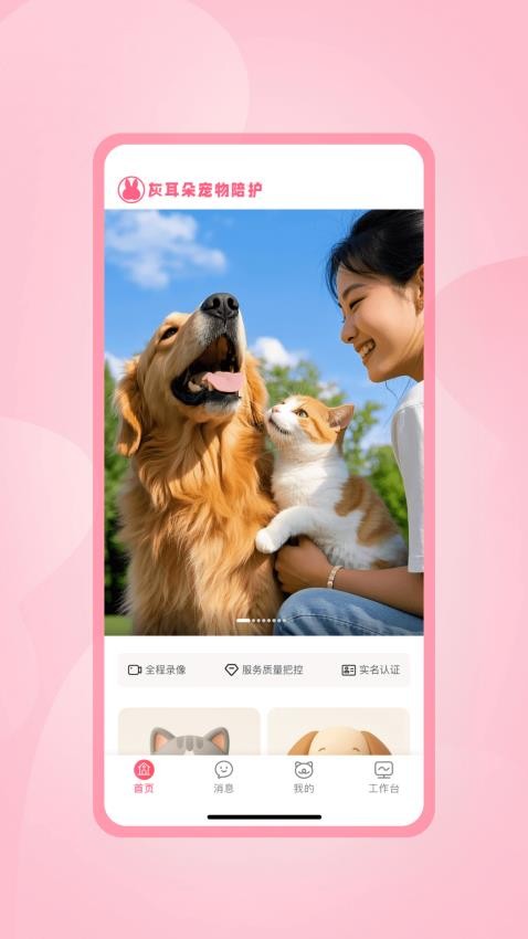 灰耳朵陪宠截图(2)