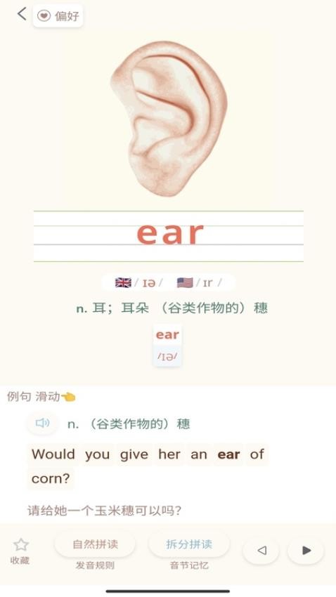 轻记单词截图(2)