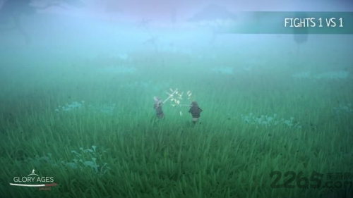 荣耀武士截图(1)