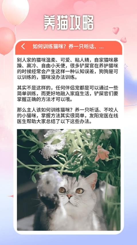 遇见你的猫咪截图(2)