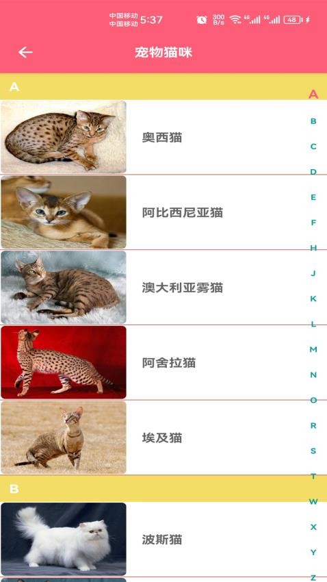 宠物宝宝大全截图(1)