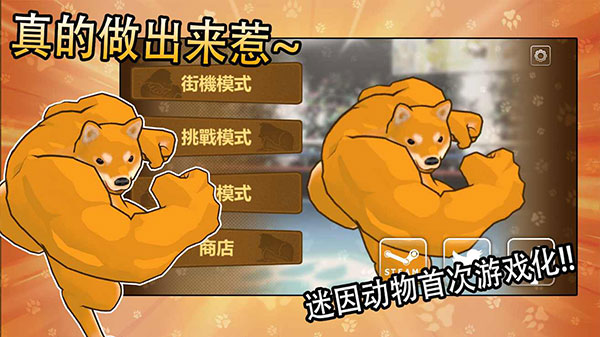 动物之斗截图(2)