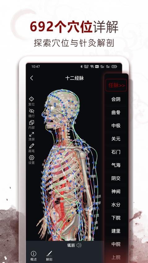 中医经络穴位截图(2)