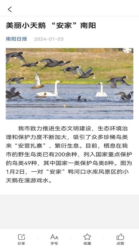 南阳政务截图(2)