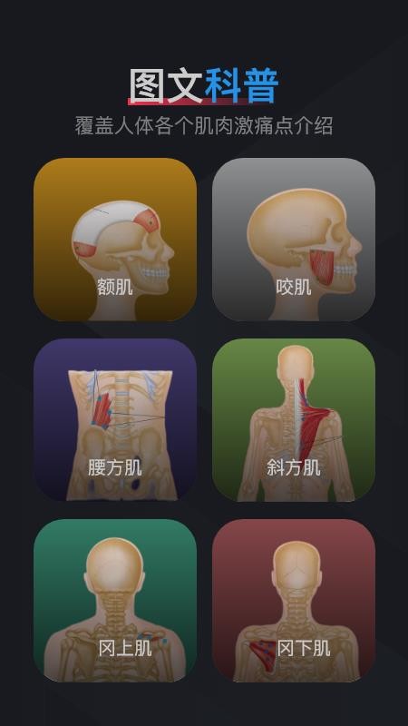 肌肉激痛点图谱截图(2)