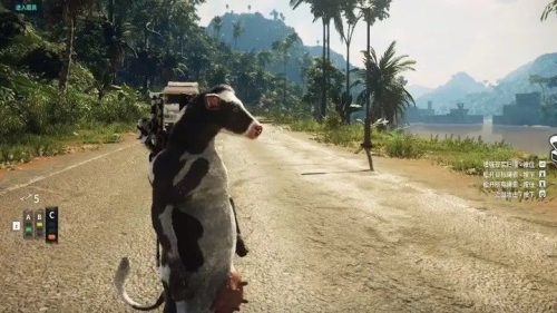 荣耀吃鸡战场截图(3)