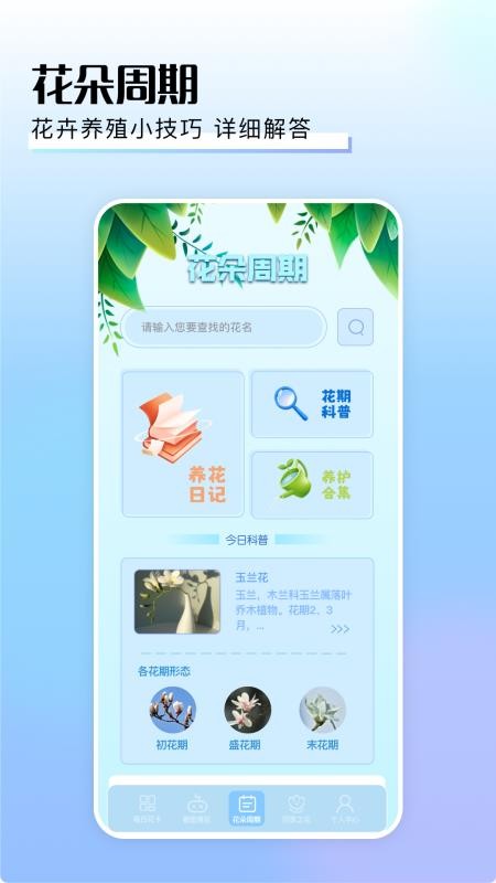 摆花齐放截图(4)