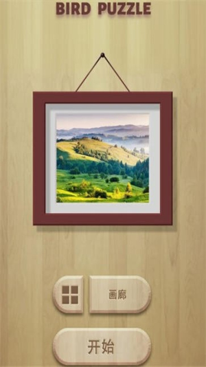 飞鸟消除拼图截图(1)