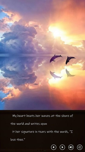 飞鸟消除截图(3)