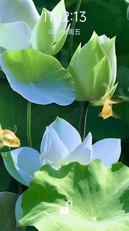 荷花锦鲤壁纸截图(4)