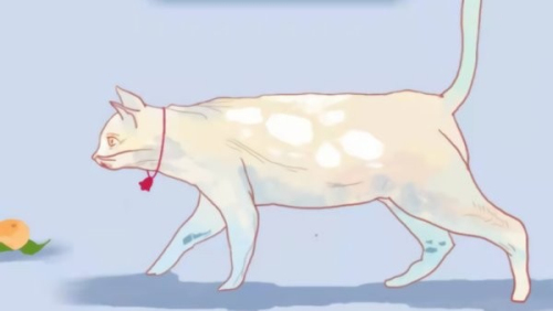 逃跑的猫截图(4)