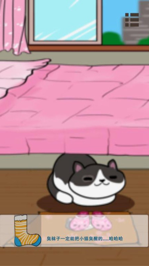 天天找喵喵截图(4)