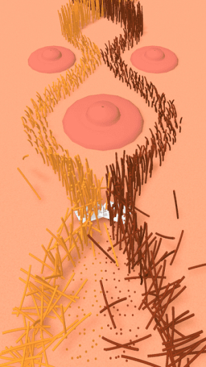 刮脸大赛截图(1)