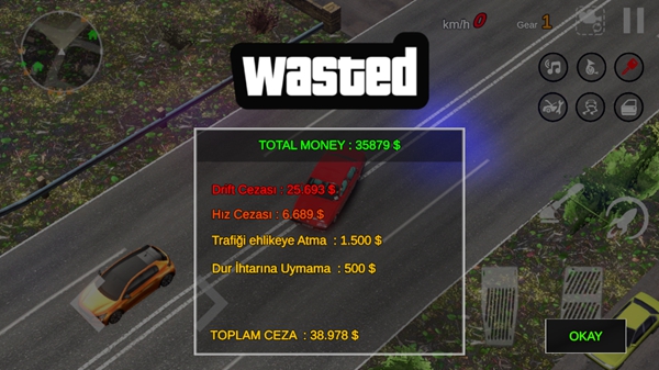 多根汽车模拟器2截图(3)