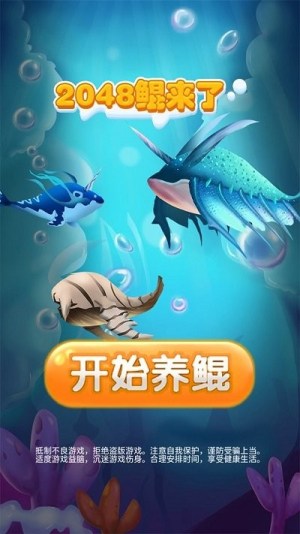 2048鲲来了截图(1)