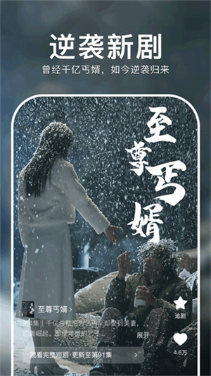 番茄短剧免费版截图(4)