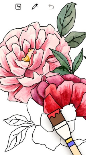 速点成画截图(4)