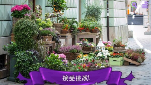 寻找猫隐藏对象截图(3)