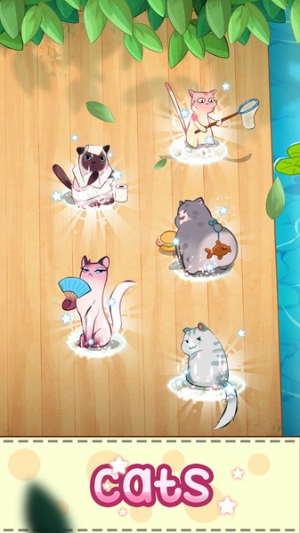 猫咪合并截图(2)