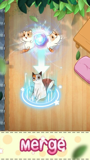 猫咪合并截图(4)