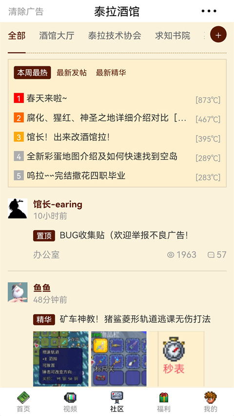 泰拉酒馆截图(1)