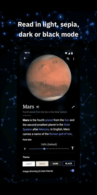 维基百科镜像版截图(5)