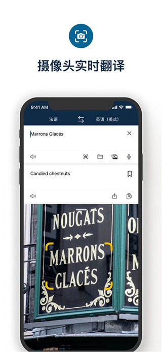 deepl翻译免费版截图(4)