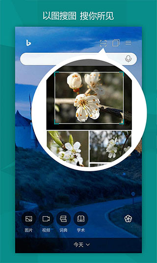 必应bing搜索引擎国际版截图(1)