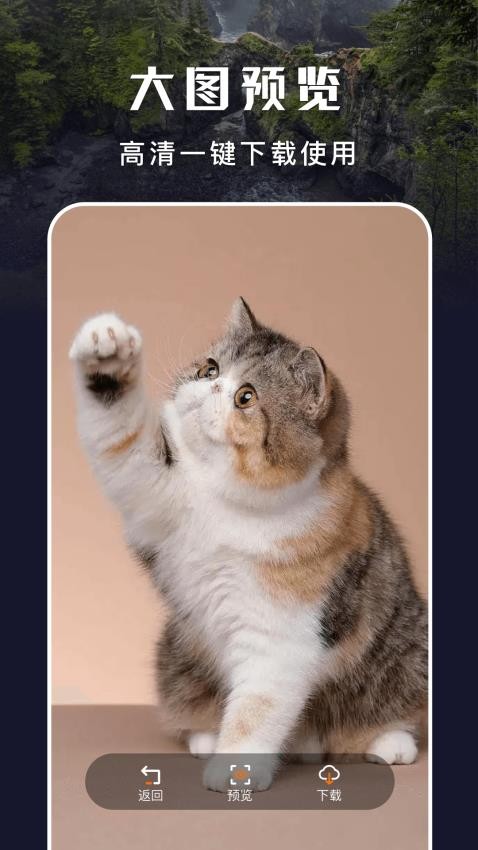 主题盒无任务版截图(2)