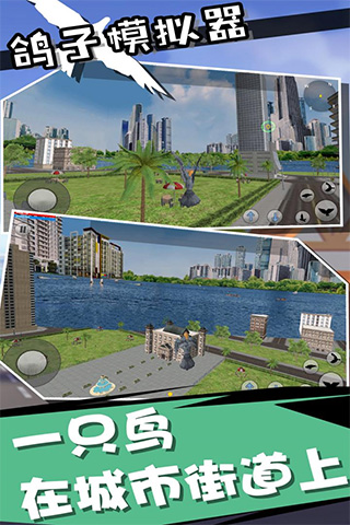 鸽子模拟器截图(5)