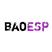 baoesp2.11卡密版