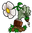 植物大战僵尸自然版