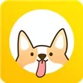 每日计划