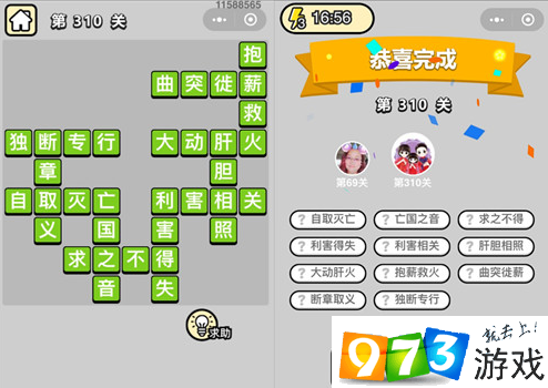 《成语升官记》状元第310关答案